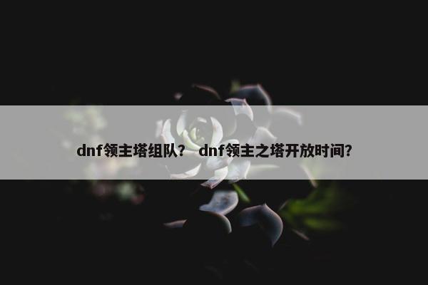 dnf领主塔组队？ dnf领主之塔开放时间？