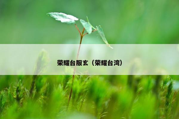 荣耀台服玄（荣耀台湾）