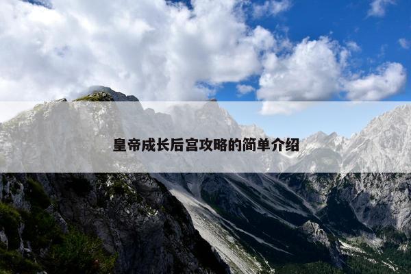 皇帝成长后宫攻略的简单介绍