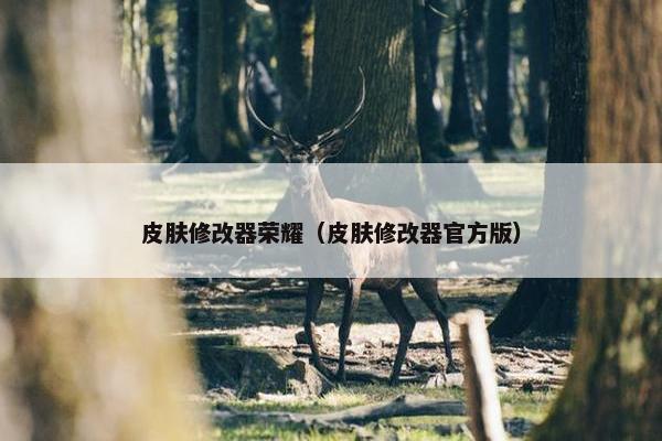 皮肤修改器荣耀（皮肤修改器官方版）