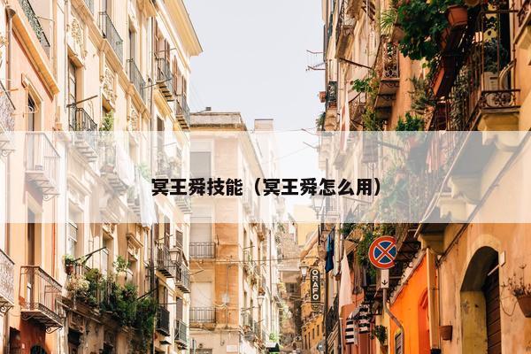 冥王舜技能（冥王舜怎么用）