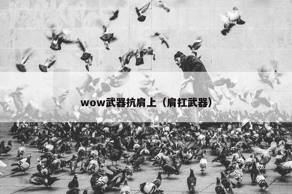 wow武器抗肩上（肩扛武器）