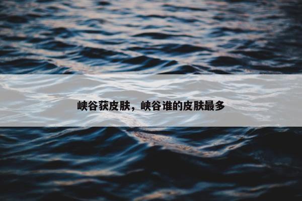 峡谷获皮肤，峡谷谁的皮肤最多