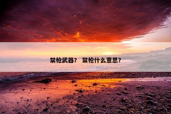 禁枪武器？ 禁枪什么意思？