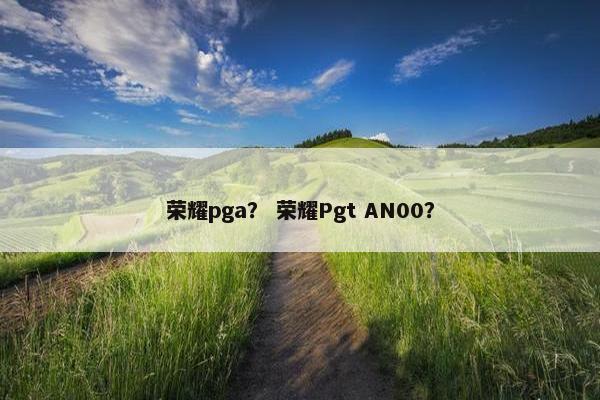 荣耀pga？ 荣耀Pgt AN00？