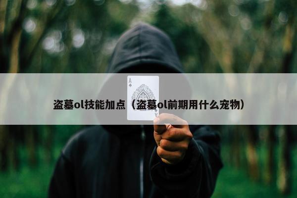 盗墓ol技能加点（盗墓ol前期用什么宠物）