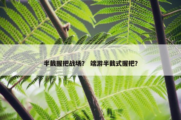 半截握把战场？ 端游半截式握把？