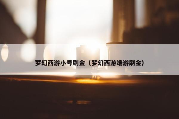 梦幻西游小号刷金（梦幻西游端游刷金）