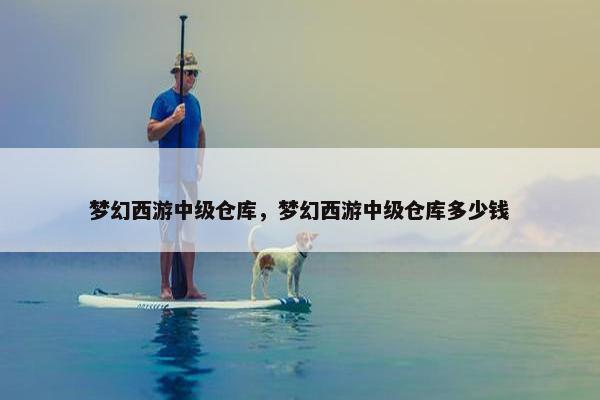 梦幻西游中级仓库，梦幻西游中级仓库多少钱