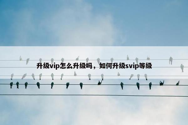 升级vip怎么升级吗，如何升级svip等级