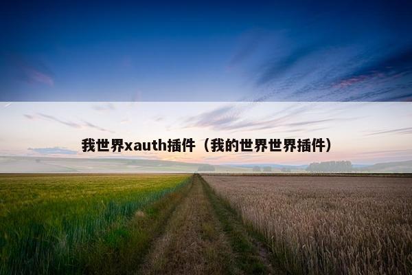 我世界xauth插件（我的世界世界插件）