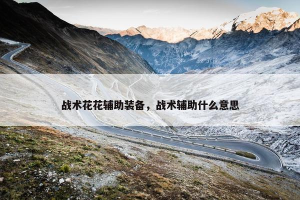 战术花花辅助装备，战术辅助什么意思