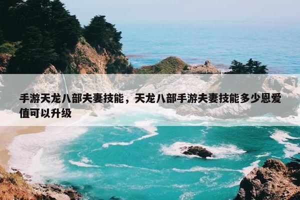 手游天龙八部夫妻技能，天龙八部手游夫妻技能多少恩爱值可以升级