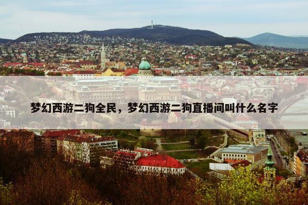 梦幻西游二狗全民，梦幻西游二狗直播间叫什么名字