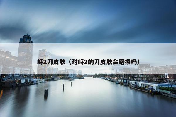 峙2刀皮肤（对峙2的刀皮肤会磨损吗）