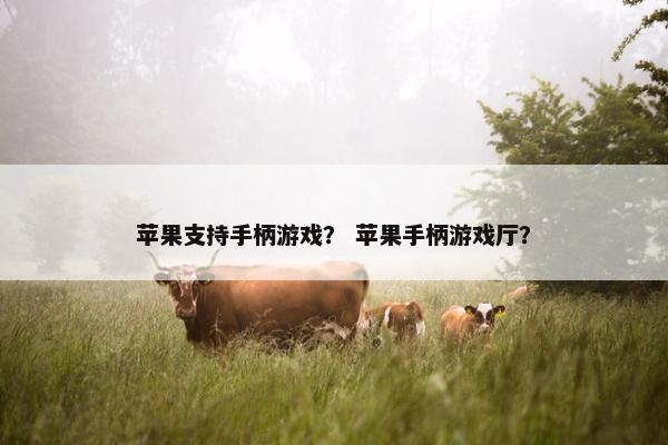 苹果支持手柄游戏？ 苹果手柄游戏厅？