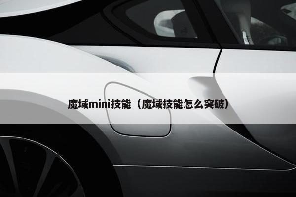 魔域mini技能（魔域技能怎么突破）