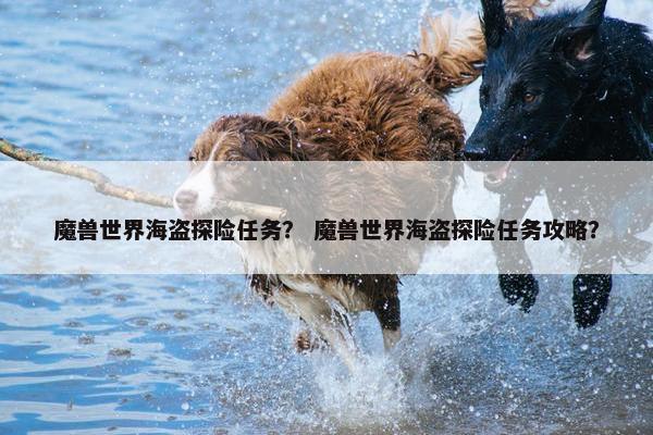 魔兽世界海盗探险任务？ 魔兽世界海盗探险任务攻略？