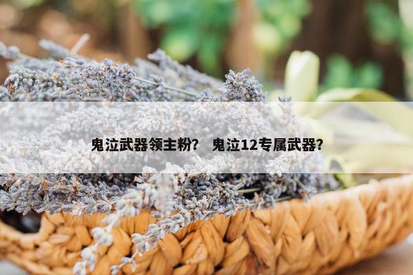 鬼泣武器领主粉？ 鬼泣12专属武器？