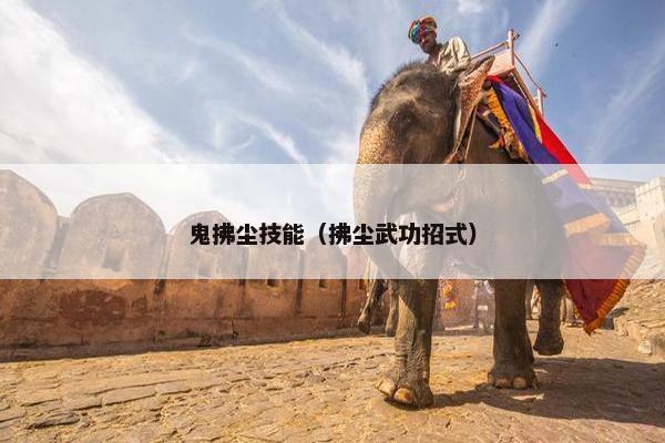 鬼拂尘技能（拂尘武功招式）
