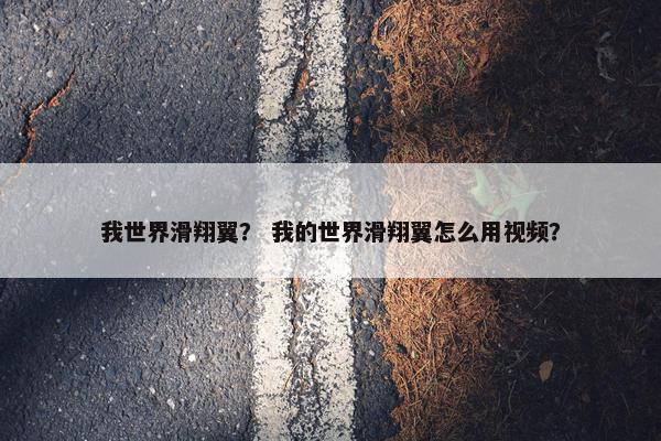 我世界滑翔翼？ 我的世界滑翔翼怎么用视频？
