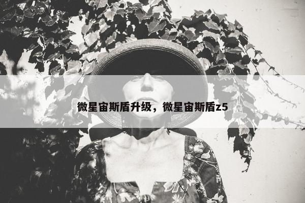 微星宙斯盾升级，微星宙斯盾z5