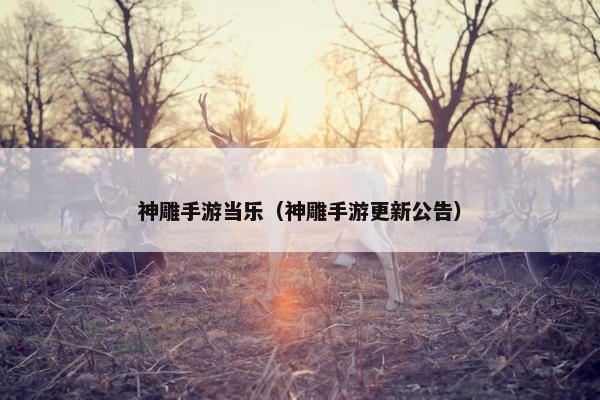 神雕手游当乐（神雕手游更新公告）