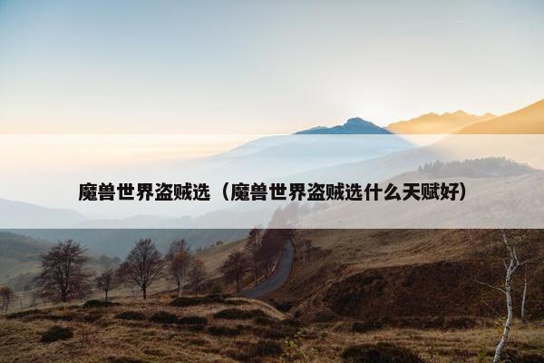 魔兽世界盗贼选（魔兽世界盗贼选什么天赋好）