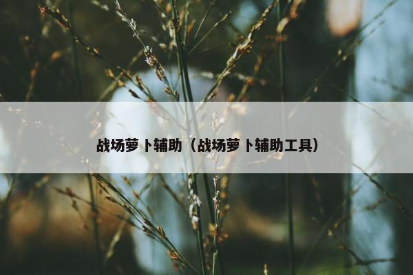 战场萝卜辅助（战场萝卜辅助工具）