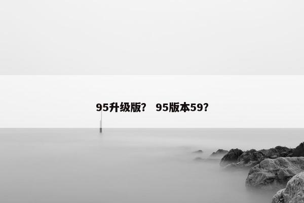 95升级版？ 95版本59？