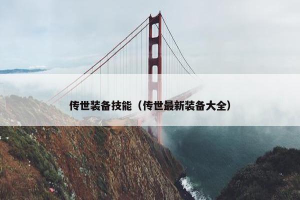 传世装备技能（传世最新装备大全）