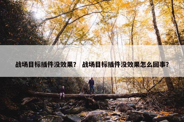 战场目标插件没效果？ 战场目标插件没效果怎么回事？