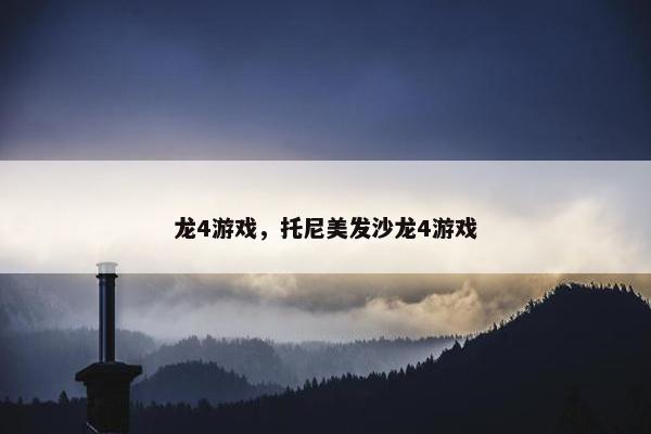 龙4游戏，托尼美发沙龙4游戏