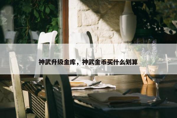 神武升级金库，神武金币买什么划算