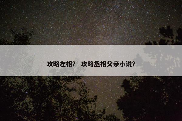 攻略左相？ 攻略丞相父亲小说？