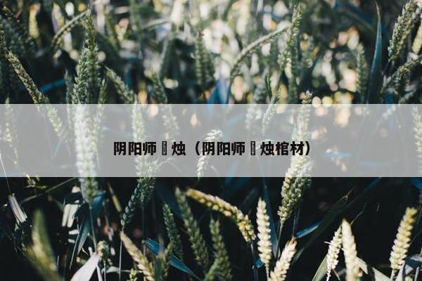 阴阳师焟烛（阴阳师焟烛棺材）