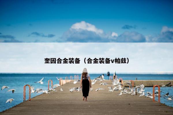 奎因合金装备（合金装备v帕兹）