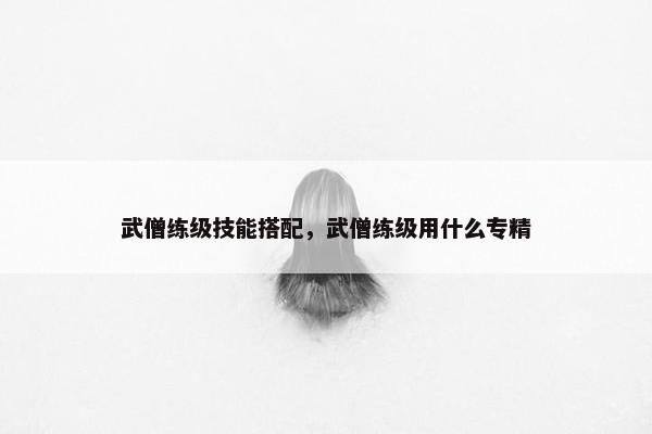 武僧练级技能搭配，武僧练级用什么专精