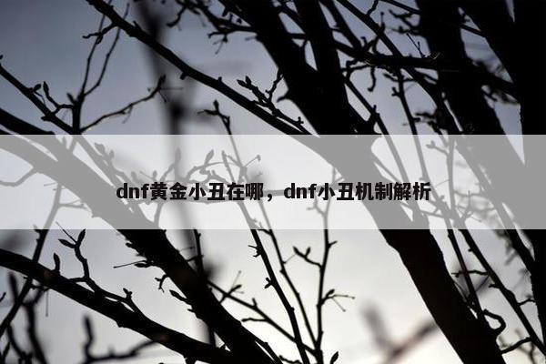 dnf黄金小丑在哪，dnf小丑机制解析