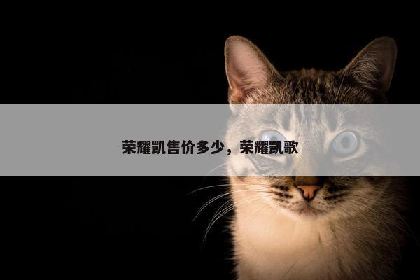 荣耀凯售价多少，荣耀凯歌