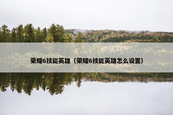 荣耀6技能英雄（荣耀6技能英雄怎么设置）