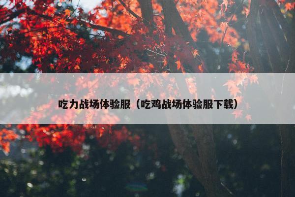 吃力战场体验服（吃鸡战场体验服下载）
