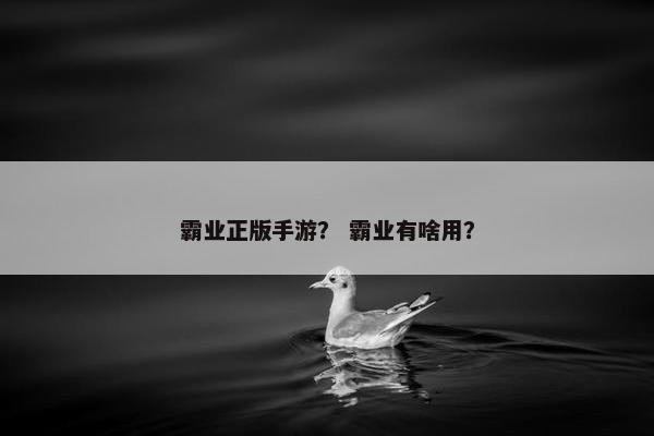 霸业正版手游？ 霸业有啥用？