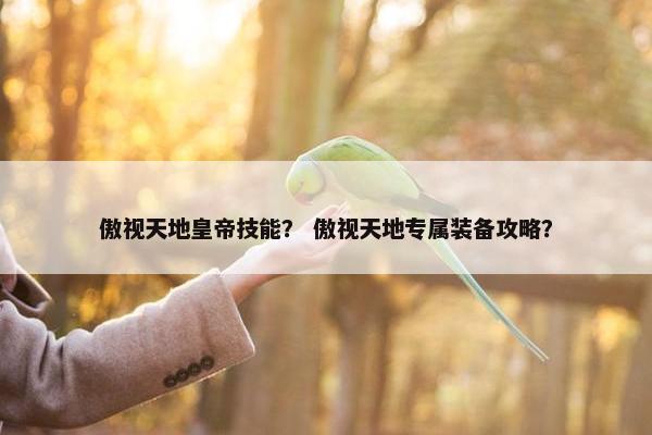 傲视天地皇帝技能？ 傲视天地专属装备攻略？