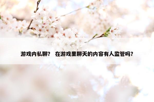 游戏内私聊？ 在游戏里聊天的内容有人监管吗？