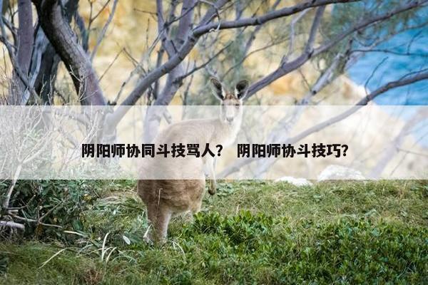 阴阳师协同斗技骂人？ 阴阳师协斗技巧？