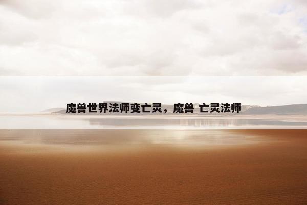 魔兽世界法师变亡灵，魔兽 亡灵法师