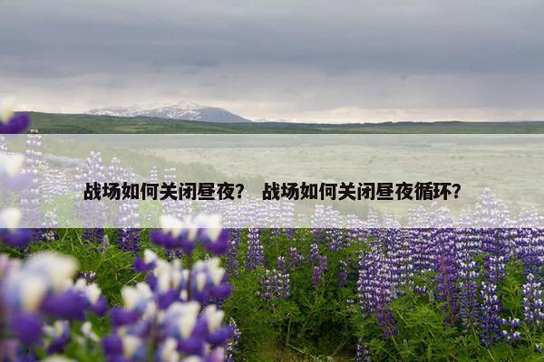 战场如何关闭昼夜？ 战场如何关闭昼夜循环？