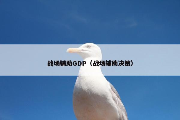 战场辅助GDP（战场辅助决策）
