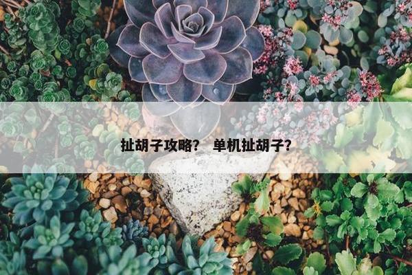 扯胡子攻略？ 单机扯胡子？